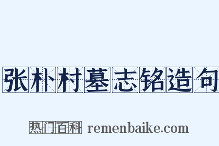 张朴村墓志铭造句是什么意思的图片